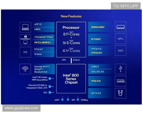 全面解析PA视讯版的功能特色与使用技巧指南