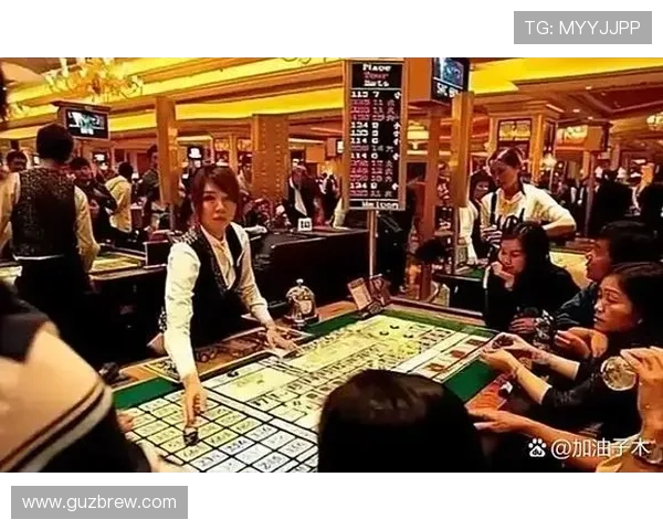 提升真人实体赌场体验的五大技巧与实用建议