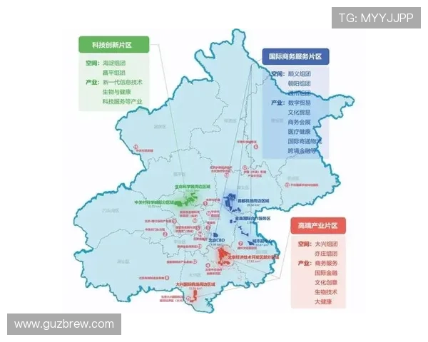 深度剖析PA亚娱集团在电竞产业中的布局与未来潜力